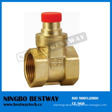 OS Y Stype Brass Gate Valve Fast Supplier (BW-G09)